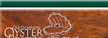 Oyster Navigation Logo 1